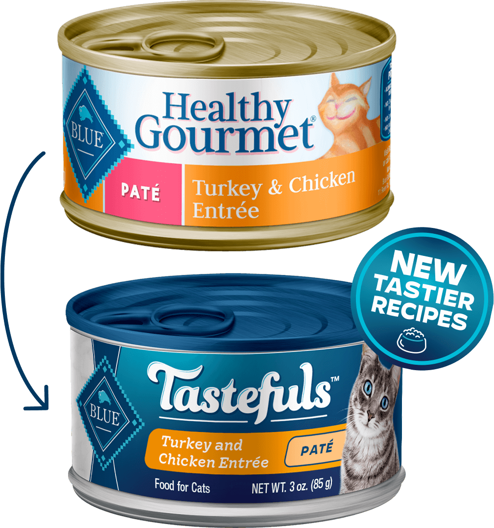 BLUE Buffalo Healthy Gourmet Turkey And Chicken Entrée